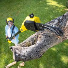 Best Stump Grinding and Removal  in Kenilworth, PA