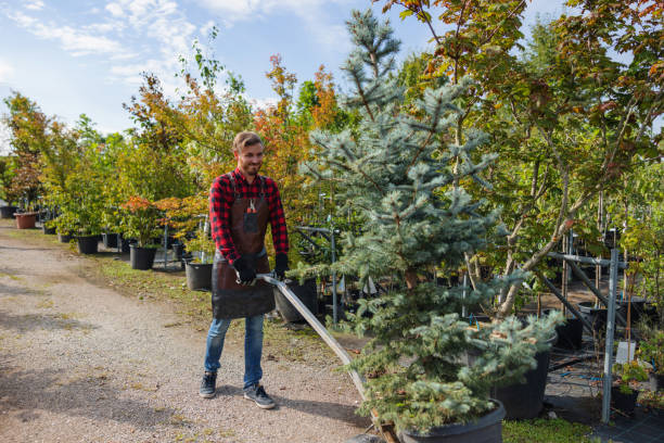 Best Tree and Shrub Care  in Kenilworth, PA